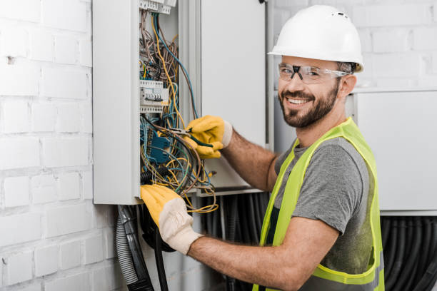 Best Electrical Upgrades for Homes  in Webberville, MI