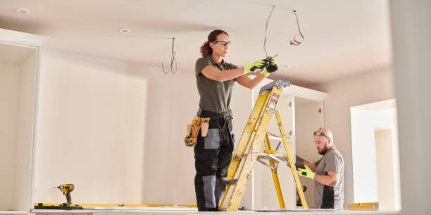 Best Outdoor Lighting Installation  in Webberville, MI