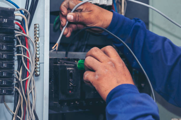 Best Affordable Electrical Installation  in Webberville, MI